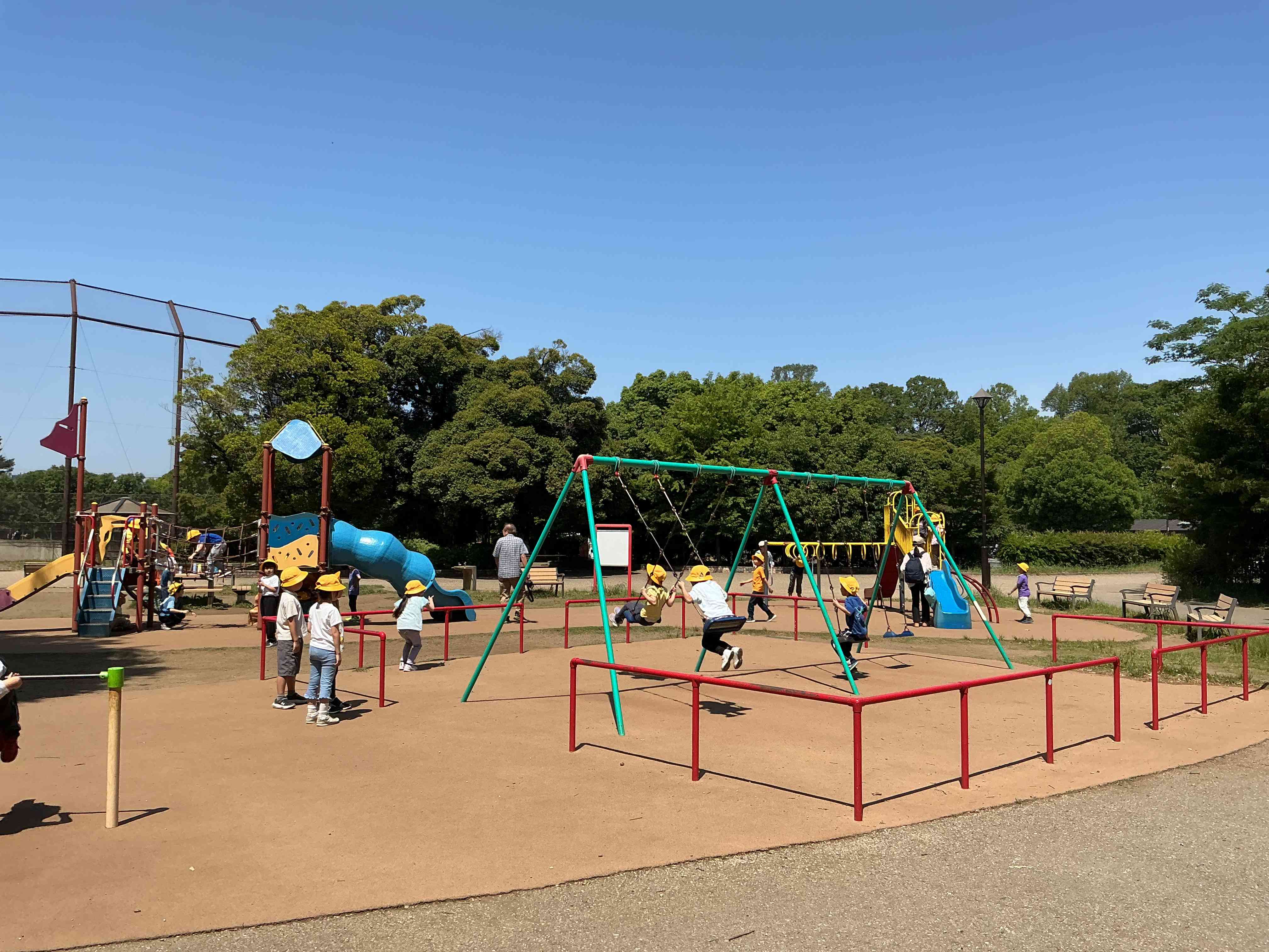 IMG_0354